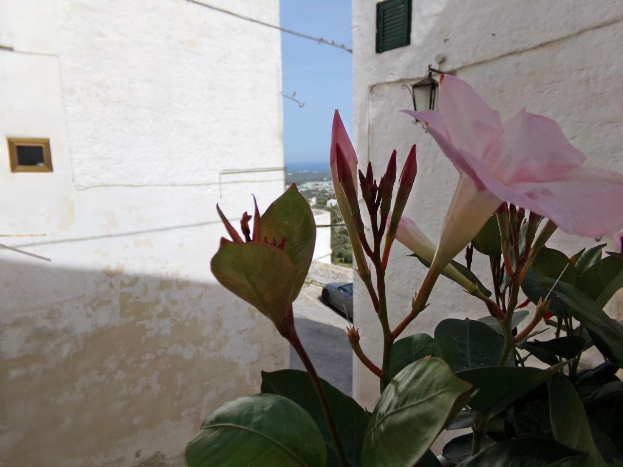 Le Tre Volte Villa Ostuni Eksteriør bilde